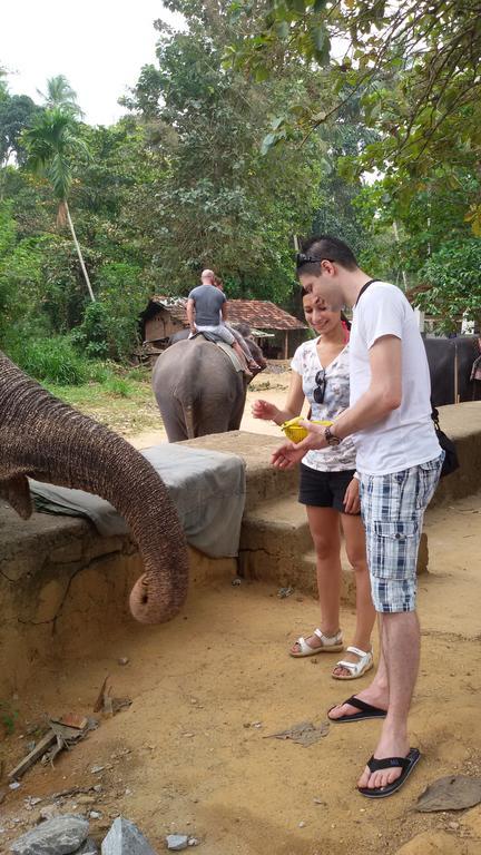 Suwani Pinnawala Homestay Bagian luar foto