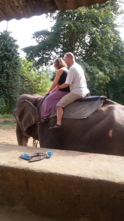 Suwani Pinnawala Homestay Bagian luar foto