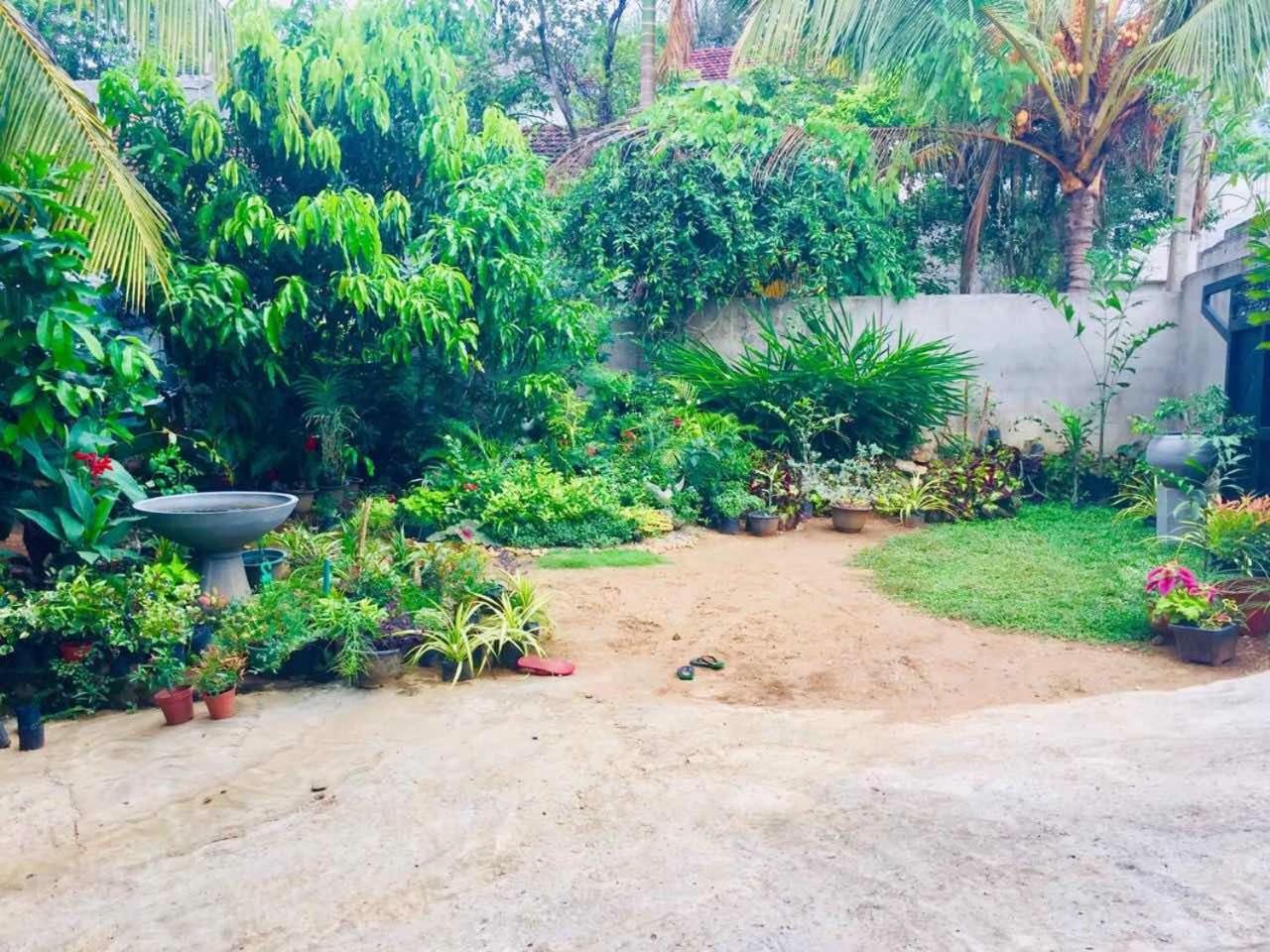 Suwani Pinnawala Homestay Bagian luar foto